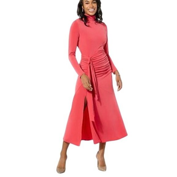 Colleen Lopez Dresses & Skirts - Colleen Lopez Ruched Mock Neck Dress MEDIUM (245)